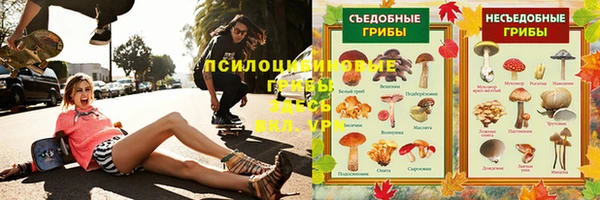дмт Нефтекумск